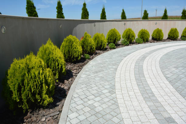 Best Driveway Paving Contractor  in Elwood, IN